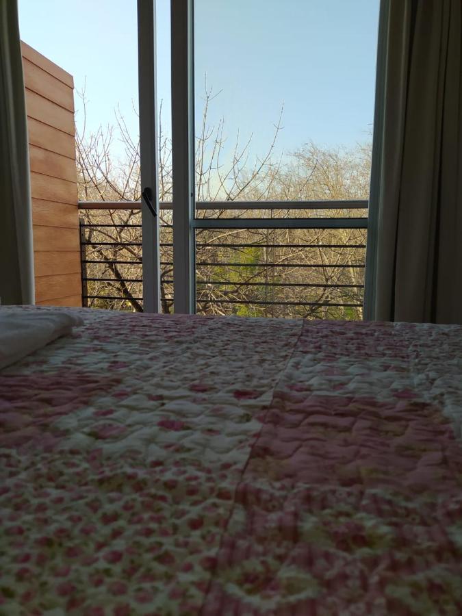 Antonia Apartamento